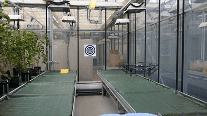 IoT in Greenhouse